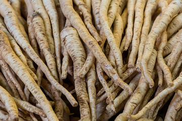 long beige roots of parsley background