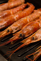 row of raw fresh one-piece lobster prepared for grilling a set of seafood delicacy for dinner accent on the head