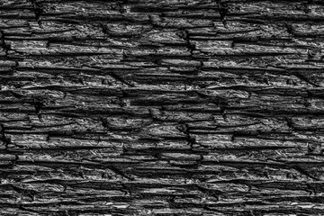 ribbed wooden base horizontal pattern bark of old tree black gray background design natural monochrome pattern