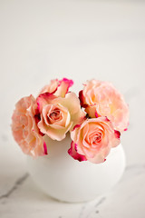 pink roses on a light background