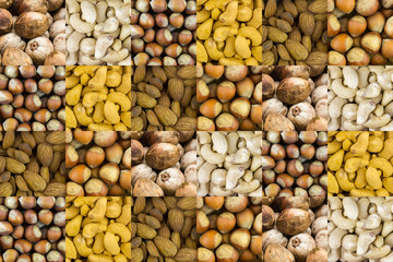 bright blocks many grains of nuts almond brown untreated hazelnut whole coconut set of various snacks base design web base menu