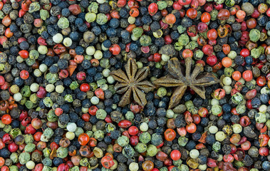 spices background diverse pepper peas pink white and green dried base sauce salsa and star anise