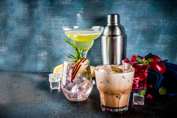 Various autumn winter seasonal alcohol cocktail Apple Rosemary, Cranberry vodka, Ginger lemon ale, ...