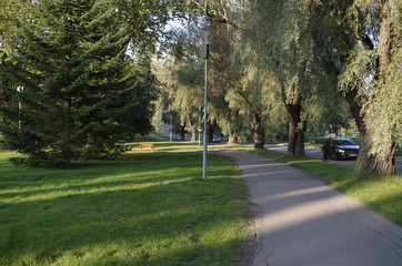 Fototapeta na wymiar walkway in the park