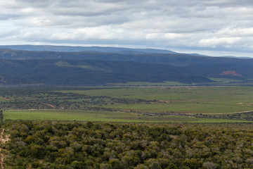 Bushes, green grass and mountains
