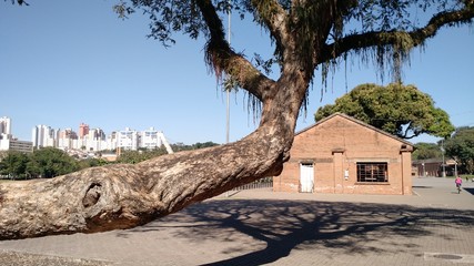 Obraz premium paisagem