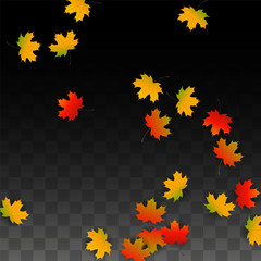 September Vector Background with Golden Falling Leaves. Autumn Illustration with Maple Red, Orange, Yellow Foliage. Isolated Leaf on Transparent Background. Bright Swirl. Suitable for Posters.