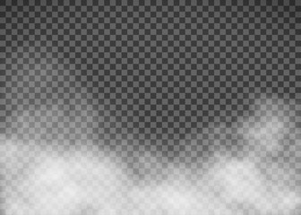 White smoke on a transparent background. Template fog. - obrazy, fototapety, plakaty