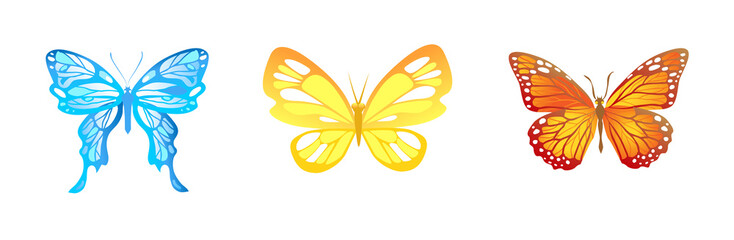 Bright butterfies set