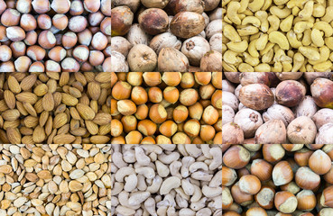 pattern set of nuts snacks seeds of apricot hazelnut coconut cashew nut source of protein for energy diet vegetarianism