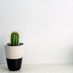 Terrazzo desk on white empty wall copy space background with isolated cactus in a pot