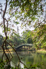 Ibirapuera's bridge with trees in the background and a big lake in the ground, in São Paulo. City, tourism, peaceful place, parks, is the concept