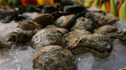 seafood