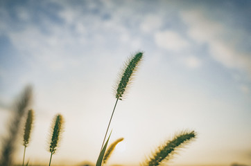 ノスタルジックな朝の光景