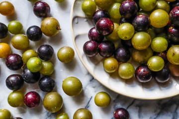 Muscato muscadine sweet green bronze and purple black grape on white marble board