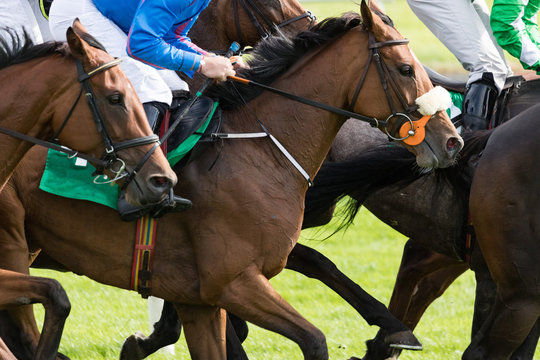 Close up on race horses and jockeys galloping