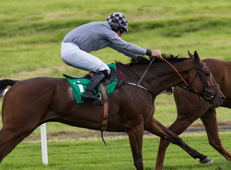 Obraz premium Final gallop towards the finish line