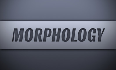 morphology - word on silver background