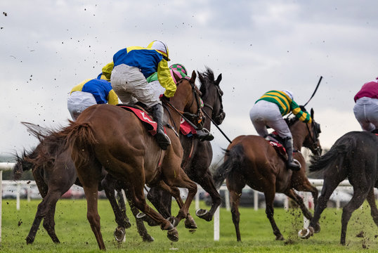 Race horses and jockeys sprint towards the finish line,