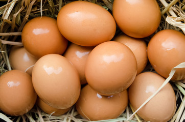 Fresh farm eggs on a straw background.