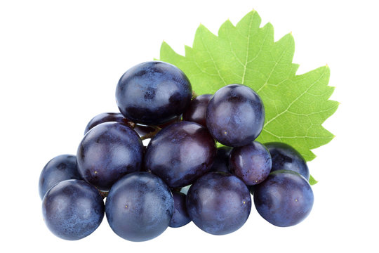 Trauben Früchte Weintrauben blau Frucht Freisteller freigestellt isoliert