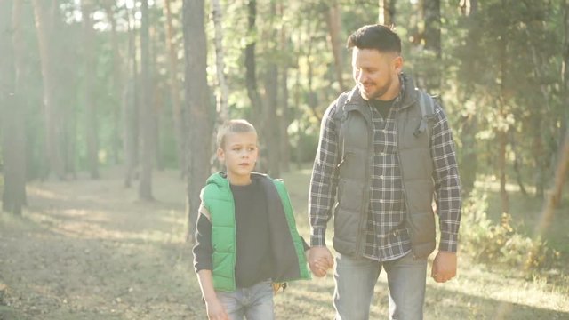 Slow motion of young family bearded man and his adorable son hiking in firest holding hands and talking. Paternal love, outdoor adventure and nature concept.