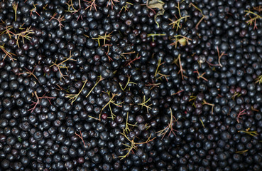 Berries in a supermarket - currant.