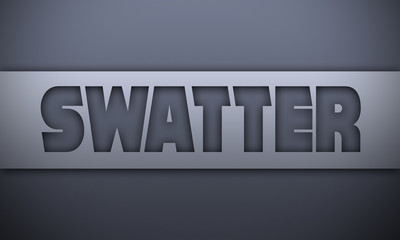 swatter - word on silver background