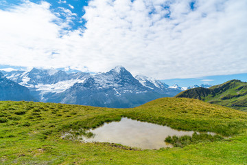 Beautiful Alps Mountain in Grindelwald, Switzerland
