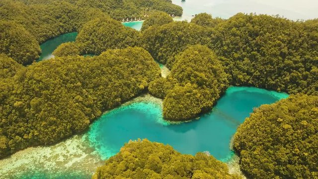 aerial footage islands covered with green tropical forest surrounded by beautiful bays and lagoons Bucas Grande. lot islands in lagoon with turquoise water island Sohoton Cove. tropical seascape blue