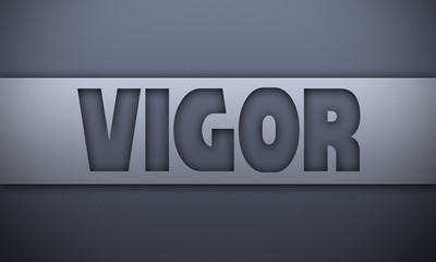 vigor - word on silver background