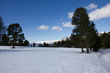 Pista de esqu&iacute; vac&iacute;a
