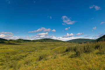 Green hills of the Altai mountain in a summer day, Russia