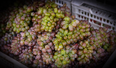 Grapes in a supermarket.