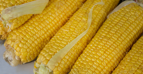 Natural-looking vegetables in a supermarket - corn.
