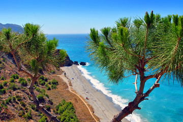 Playa de Las Alberquillas Andalusia Costa del Sol Spain - obrazy, fototapety, plakaty