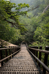 Strais leading down to the jungle in Bukhansan Seoul