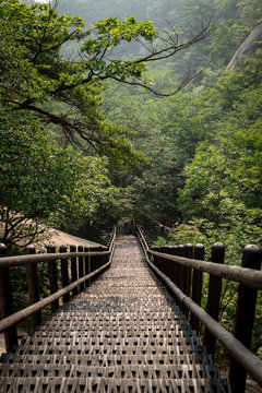 Strais leading down to the jungle in Bukhansan Seoul