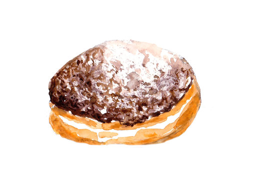 Jelly filled Chocolate doughnut with powdered sugar. Watercolor food illustration, isolated objects on white background. Hand painted Chocolate dessert. Sweet and tasty pastry.
