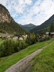 Idyllic landscape in the Alps with fresh green meadows and blooming flowers and snowcapped mountain tops in the background, Switzerland, august 2018