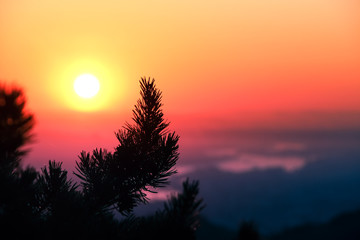 Fototapeta premium Sunrise over Krasnoyarsk