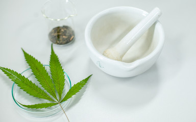 Medication from marijuana for education.