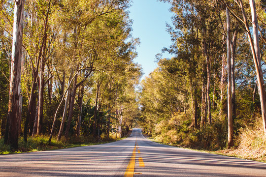 Estrada pra algum lugar