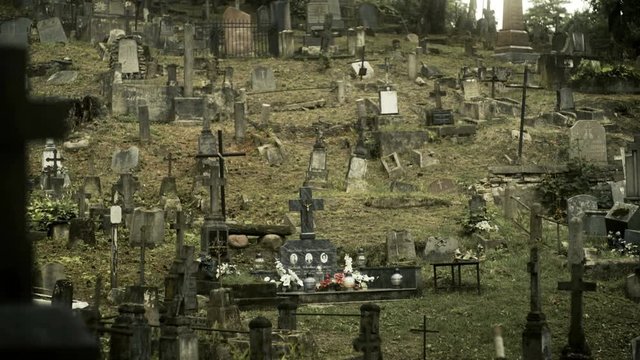 Field of graves plots focus to Cross