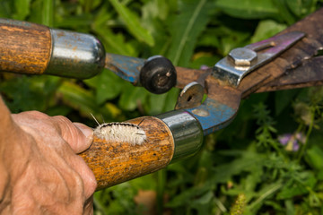 Hidden Dangers of Gardening