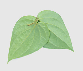 Fototapeta na wymiar Green betel leaf isolated on the gray background with clipping path.