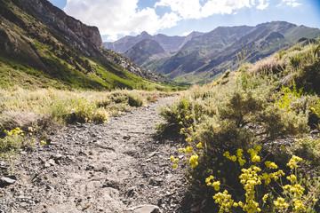 Dirt hiking trail in McGee Creek near Mammoth Lakes in California's Eastern Sierra © MelissaMN
