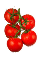 Tomatoes