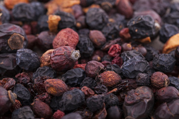Dried dog rose close up