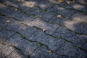A yellow autumn leaf lying on a pavement, early autumn, a city